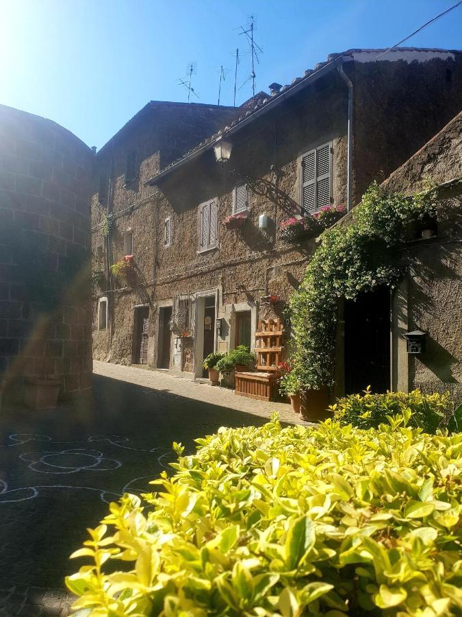 La Casa Dei Libri Villa Sutri Buitenkant foto